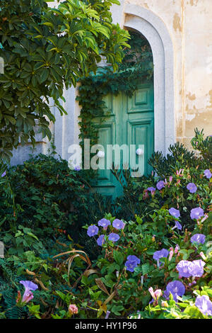 Der Efeu bedeckt grüne Tür in der Wand des alten Hauses mit dem Fußweg auf die Veranda mit violetten Ackerwinde überwuchert. Malta Stockfoto