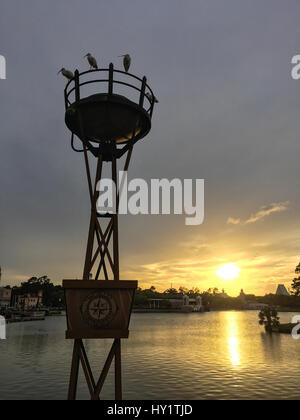 Ibis und Reiher beobachten den Sonnenuntergang über dem See bei Epcot World Showcase, Disneyworld Stockfoto