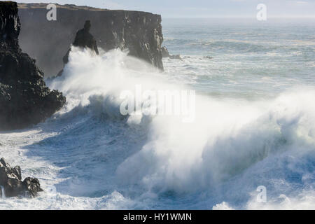 Sturmwellen gegen die Klippen am Svortuloft, Island. Stockfoto