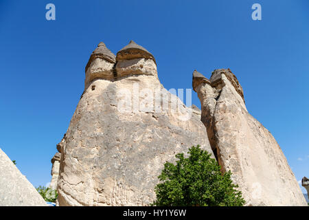 Ansicht der berühmten Sandstrand Feenkamine im Pasabagi Mönche-Tal, Cappadocia, am strahlend blauen Himmelshintergrund. Stockfoto