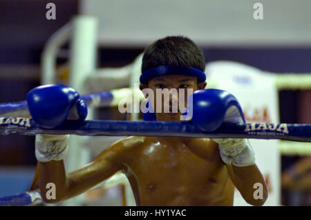 Dieser Stock Photo zeigt ein Porträt von einem sehr jungen MuayThai Boxer Konzentration vor einem Kampf in Krabi, Südthailand. Stockfoto