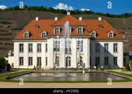 Stock Foto von der historisch wichtigsten Buidling des sächsischen Staates Weingut Schloss Wackerbarth in Radebeul bei Dresden. Das Bild wurde auf einem hellen aufgenommen. Stockfoto
