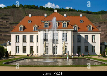 Stock Foto von der historisch wichtigsten Buidling des sächsischen Staates Weingut Schloss Wackerbarth in Radebeul bei Dresden. Das Bild wurde auf einem hellen aufgenommen. Stockfoto