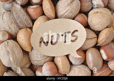 Mix aus Nüssen: Walnuss, Haselnuss, Mandel, Paranuss und Pecan Stockfoto