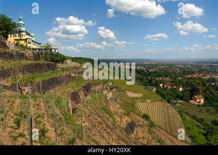 Stock Foto von einem Blick über das Elbtal ein Welterbe-Bereich von der Weinberge von Radebeul bei Dresden gesehen. Auf der Lefthandside sehen Sie th Stockfoto