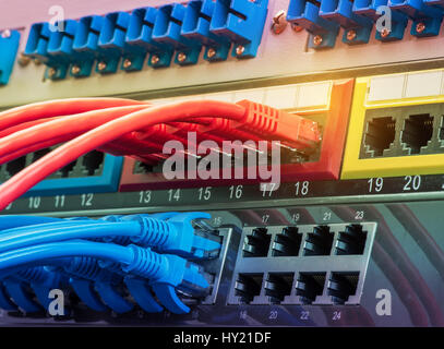 Netzwerkkabel angeschlossen in Netzwerk-switches Stockfoto