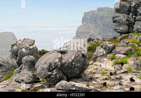 Bild der einen malerischen Blick auf den Signal Hill von den berühmten Table Mountain National Park in Cape Town, Südafrika. Stockfoto