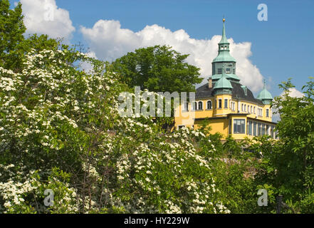 Auf diesem Stock Foto sehen Sie das Spitzhaus ein Wahrzeichen gebaut im Jahre 1622 an die Weinberge von Radebeul bei Dresden. Das Bild wurde auf eine helle Sunn aufgenommen. Stockfoto