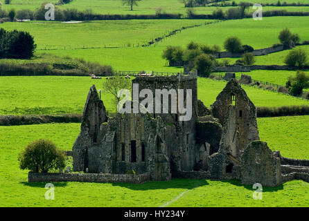 Dieses Foto zeigt die Hore Abbey in der Nähe der irischen Castle Rock of Cashel. Das Bild wurde an einem sonnigen Frühlingstagen Nachmittag aufgenommen. Stockfoto