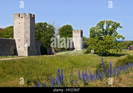 Dieser Stock Photo zeigt den mittelalterliche Burgmauern rund um den historischen Hafen Stadt Visbyon der Insel Gotland in Schweden. Im Vordergrund y Stockfoto