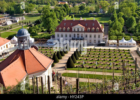Stock Foto von der historisch wichtigsten Buidling des sächsischen Staates Weingut Schloss Wackerbarth in Radebeul bei Dresden. Das Bild wurde auf einem hellen aufgenommen. Stockfoto