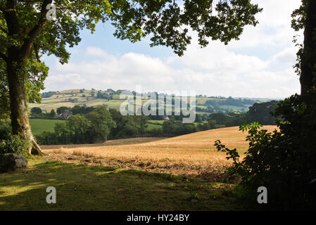 Der Blick über die offene Landschaft von Burrow Farm Gardens, auch bekannt als Osten Devons Secret Garden, in der Nähe von Axminster, Devon, England, UK Stockfoto