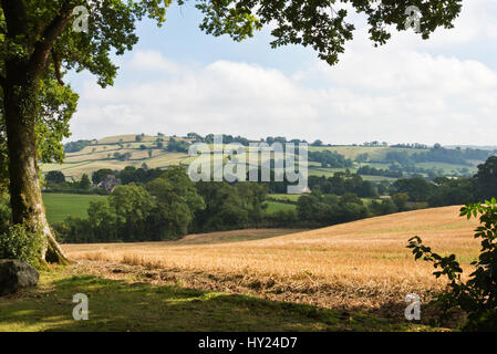 Der Blick über die offene Landschaft von Burrow Farm Gardens, auch bekannt als Osten Devons Secret Garden, in der Nähe von Axminster, Devon, England, UK Stockfoto