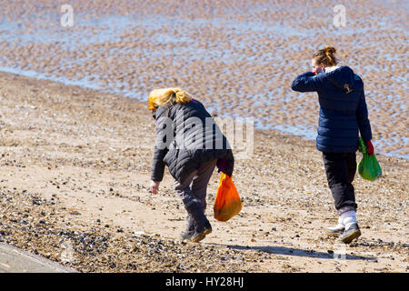 Southport, Merseyside, England. 31. März 2017. Großbritannien Wetter. Schön und sonnig für die Sammlung von Muscheln am Meer. Lokale Künstler Jane & Sarah arbeiten mit Treibholz, Strandgut in Kunstwerke zu schaffen. Verwenden sie Treibholz und Muscheln, Rahmen Spiegel ihrer Kunst ein Spiegelbild der lokalen Küstenlinie zu machen. Kredite; MediaWorldImages/AlamyLiveNews Stockfoto