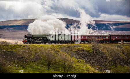 Ribblehead, UK. 31. März 2017. Ribblehead Scotsman Befugnisse für die Wiedereröffnung der Settle Carlisle Linie überfliegen. Die Strecke wurde 9. Februar 2016 aufgrund eines Erdrutsches gesperrt. Reparaturen Kosten £23 M Credit: Graham Eva/Alamy Live News Stockfoto