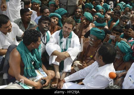 Neu-Delhi, Indien. 31. März 2017. Indiens größte Oppositionspartei Kongresspartei Stellvertreter Rahul Gandhi (C) sitzt mit den Landwirten während einer Protestaktion an Jantar Mantar in Neu-Delhi, Indien, 31. März 2017. Bauern protestierten in der Hauptstadt Freitag, fordern eine Entlastung Paket vor Zugluft, die Vornahme von vielen Teilen von Indien. Bildnachweis: Stringer/Xinhua/Alamy Live-Nachrichten Stockfoto