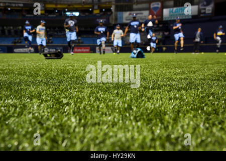 St. Petersburg, Florida, USA. 31. März 2017. WILL VRAGOVIC | Times.A Blick auf die neue Spielfläche während dem Training im Tropicana Field in St. Petersburg, Florida am Freitag, 31. März 2017 fotografiert. Dies war die Spieler erste Gelegenheit, auf dem neuen Rasen installiert auf dem Feld zu arbeiten. Bildnachweis: Willen Vragovic/Tampa Bay Times / ZUMA Draht/Alamy Live News Stockfoto