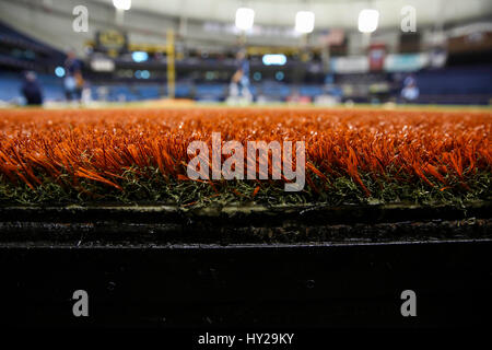 St. Petersburg, Florida, USA. 31. März 2017. WILL VRAGOVIC | Times.A Blick auf die neue Spielfläche während dem Training im Tropicana Field in St. Petersburg, Florida am Freitag, 31. März 2017 fotografiert. Dies war die Spieler erste Gelegenheit, auf dem neuen Rasen installiert auf dem Feld zu arbeiten. Bildnachweis: Willen Vragovic/Tampa Bay Times / ZUMA Draht/Alamy Live News Stockfoto