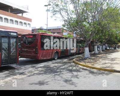 Puerto Ordaz, Venezuela. 31. März 2017. Arbeiter und Angestellten des staatlichen Unternehmens verantwortlich für die Versorgung mit Trinkwasser (Hidrobolivar) im südlichen Bundesstaat Bolivar, zusammen mit Arbeitern aus dem staatlichen Unternehmen verantwortlich für die öffentlichen Verkehrsmittel Service Operations (Transbolivar), beschlossen Protest in der Guayana-Allee von Puerto Ordaz, fordern eine Gehaltserhöhung. Dieser Protest Auto Staus im gesamten Bereich der Stadt Alta Vista verursacht. Hohe Lebensmittelpreise in Venezuela haben Arbeitnehmer Löhne verschlechtert. Jorgeprz/Alamy Live-Nachrichten Stockfoto