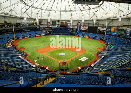 St. Petersburg, Florida, USA. 31. März 2017. WILL VRAGOVIC | Times.A Ansicht von der 300 Ebene des neuen Rasens im Tropicana Field in St. Petersburg, Florida am Freitag, 31. März 2017. Bildnachweis: Willen Vragovic/Tampa Bay Times / ZUMA Draht/Alamy Live News Stockfoto