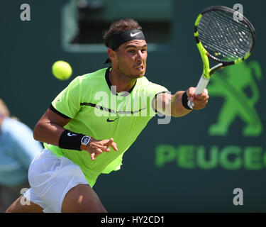 Key Biscayne, FL, USA. 31. März 2017. Rafael Nadal Vs Fabio Fognni während das Herren-Halbfinale bei Miami Open statt im Crandon Park Tennis Center am 31. März 2017 in Key Biscayne, Florida. Bildnachweis: Mpi04/Medien Punch/Alamy Live-Nachrichten Stockfoto