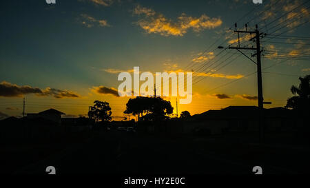 Adelaide, Australien. 1. April 2017. Bäume sind Silhouette gegen einen bunten herbstlichen Sonnenuntergang in Adelaide Australien Credit: Amer Ghazzal/Alamy Live-Nachrichten Stockfoto