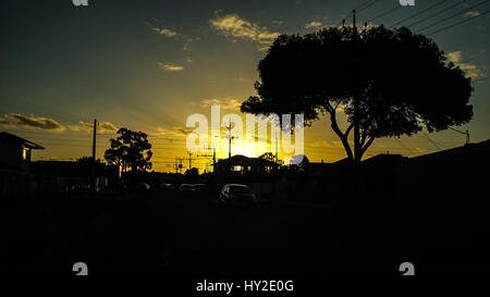 Adelaide, Australien. 1. April 2017. Bäume sind Silhouette gegen einen bunten herbstlichen Sonnenuntergang in Adelaide Australien Credit: Amer Ghazzal/Alamy Live-Nachrichten Stockfoto