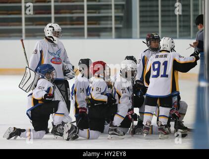 (170401)--SHANGHAI, 1. April 2017 (Xinhua)--Spieler hören Sie Anweisungen von ihrem Trainer während der 2016-2017 Shanghai Junior Eishockey-Liga in Shanghai, Ost-China, 12. März 2017. Mit dem Erfolg von Peking und Zhangjiakou Gebote für 2022 Olympischen Winterspiele Wintersport wird immer mehr und mehr populär in China, einschließlich Shanghai. Shanghai verfügt über 11 Eisbahnen und mehr als 800 angemeldete Athleten des Wintersports. Sport mit Bildung zu verbinden, ist das Merkmal der Entwicklung Shanghais Wintersport. Im Jahr 2012 entstand der erste Curling-Veranstaltungsort in der Sport-Center Songjiang Stockfoto