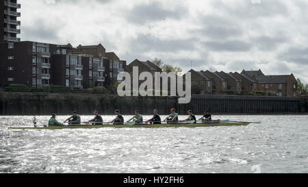 London, UK. 1. April 2017. Cambridge University Boat Club auf eine endgültige Praxis Ausflug vor der Cancer Research UK. 1. April 2017. Regatten am 2. April 2017 stattfinden. Crew-Liste:-CUBC blaues Boot: Bogen: Ben Ruble, 2: Freddie Davidson, 3: James Letten, 4: Tim Tracey, 5: Aleksander Malowany, 6: Patrick Eble, 7: Lance Tredell, Hub: Henry Meek, Cox: Hugo Ramambason. Trainer: Steve Trapmore. Bildnachweis: Duncan Grove/Alamy Live-Nachrichten Stockfoto