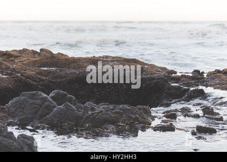 Strand Wellen des Ozeans auf Thor in Küste von Cape Perpetua, Oregon, USA. Stockfoto