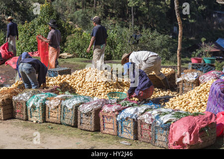 Männlich und Femalel Arbeiter Verpackung von Kartoffeln in der Nähe einer Autobahn im ländlichen Guatemala. 29. Dezember 2014. Stockfoto