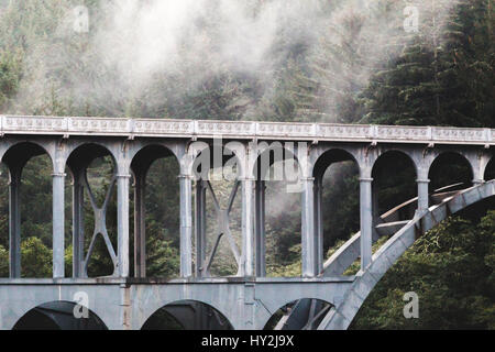 Gotische Brücke in nebligen, regnerischen Wetter an der Küste Oregons. Stockfoto