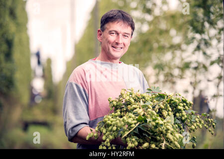 Landwirtschaftliche Arbeiter Jerzy Kwapniewski aus Polen Ernte Hopfen auf Aktien Farm in Suckley, Herefordshire UK Stockfoto