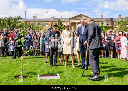 HILLSBOROUGH, NORDIRLAND. 14. Juni 2016: der Herzog und die Herzogin von Cambridge sind eingeladen, auf der Secretary Of State Gartenparty, einen Baum zu Pflanzen, die eine jährliche Tradition geworden ist. Stockfoto