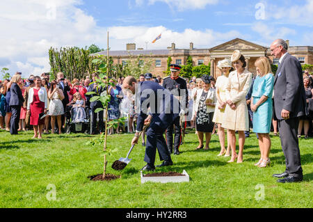 HILLSBOROUGH, NORDIRLAND. 14. Juni 2016: Prinz William, Duke of Cambridge trägt dazu bei, einen Baum zu Pflanzen, auf jährliche Gartenparty der Secretary Of State. Stockfoto