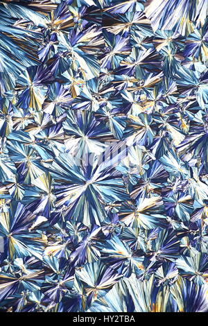 Mikroskopbild Kristalle des Asipirin (Acetylsalicylsäure) fotografiert in polarisiertes Licht Stockfoto
