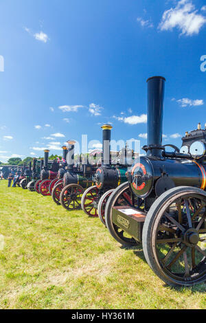 Ein riesiges Display Vintage restauriert Lokomobile im Show-Ring bei der 2016 Norton Fitzwarren Dampf & Vintage Fahrzeug Rallye, Somerset Stockfoto