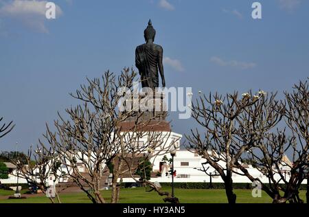 Salaya, Thailand - 16. Januar 2010: Dominiert eine kolossale zu Fuß Buddha-Statue Phra Phutthamonthon buddhistischer park Stockfoto