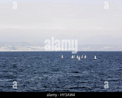 Adria-Küste zwischen Opatija und Lovran, Kroatien, Europa, 2 Stockfoto