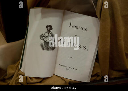 Walt Whitman Buch Vintage 'Leaves of Grass' Brooklyn, New York, 1855 - USA Stockfoto