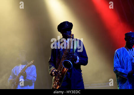 BARCELONA - 4 JUN: Orchestra Baobab (Afro-Cuban-Karibik-Fusion-Band) in Konzert im Primavera Sound Festival 2016 durchführen. Stockfoto