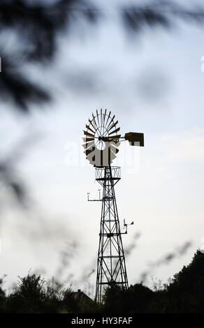 Windkraftanlage im Naturschutzgebiet Sie Fahrt in Reitbrook, 4 und sumpfige Land, Hamburg, Germany, Windrad Im Biotope sterben Reit in Reitbrook, Vi Stockfoto