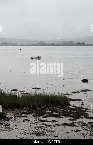 ein Blick über die Exe Mündung von Ziege zu Fuß mit Blick auf Rasen-Sperre und die Hügel darüber hinaus sind in Nebel gehüllt. In der Nähe von Topsham, Devon, England Stockfoto
