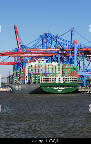 Containerschiff im Container terminal Kai Burchard in den Waltershofer Hafen, Walters Hof, Hamburg, Deutschland, Europa, Containerschiff bin Conta Stockfoto