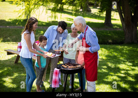 Glücklich Multi-Generationen-Familie genießen den Grill im park Stockfoto