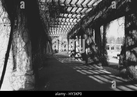 Breslau-Pergola im Park in der Nähe von Hala Stulecia (Jahrhunderthalle) mit bunten Herbst Schlingpflanze. Wroclaw, Polen. Stockfoto