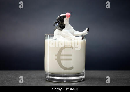 Miniatur-Kuh versinkt in einem Glas Milch, niedrige Milchpreise, Miniaturkuh Versinkt in Einem Milchglas, Niedrige Milchpreise Stockfoto