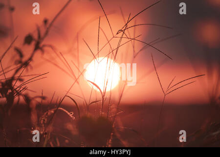 Sonnenuntergang in der Stadt Campo Magro, metropolitan Region von Curitiba, Bundesstaat Paraná, Brasilien. Stockfoto