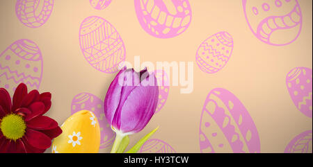 PE047 butterfly 02 bs nf orange Hintergrund Stockfoto