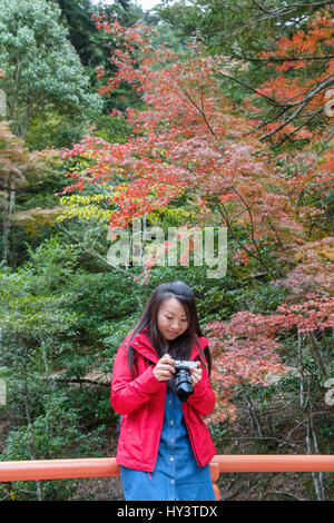 Frau Tourist in rote Jacke steht auf rote Brücke mit herbstlichen Farbe Bäume im Hintergrund und sieht in die Kamera in Miyajima, Japan Stockfoto